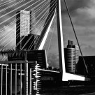Rotterdam The swam bridge